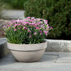 Levy Bowl - Dark Marble