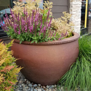 Black Clay Pie Edge Round - Special - Chip