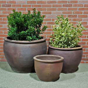 Black Clay Round Rim Planter