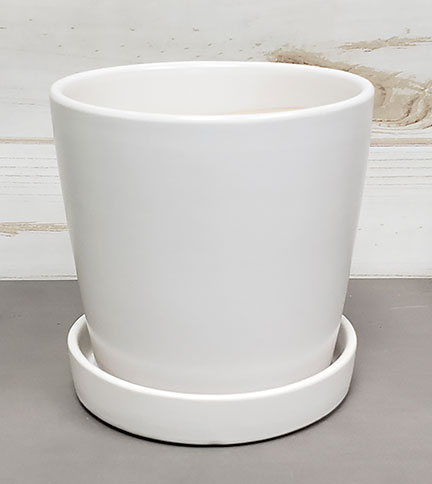 Cylinder with Attached Saucer - Image 18