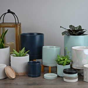 Contemporary Cylinder with Saucer