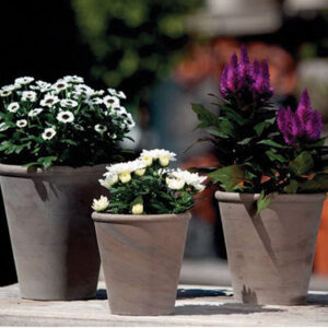 Euro Rose - Dark Marble