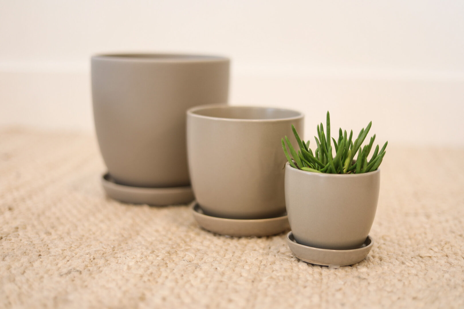 Bell Planter with Attached Saucer - Image 5