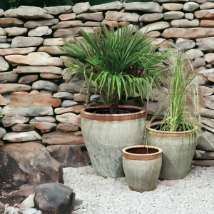 Rustic Tall Hollywood Planter