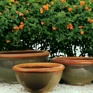 Rustic Low Glazed Bowls - Set of 3
