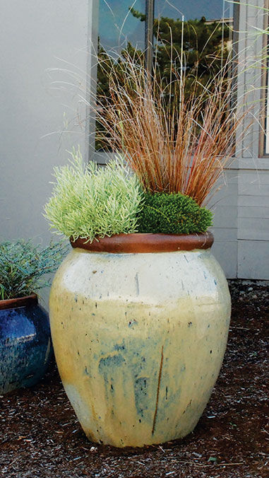 Rustic Glazed Tall Urn - Image 3