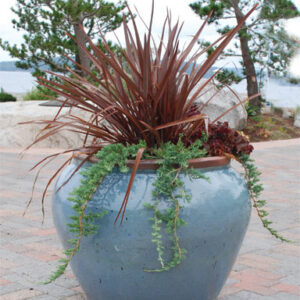 Rustic Glazed Low Urn
