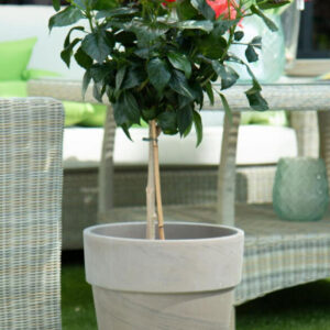 Extra Tall Standard (Rose Pot) - Dark Marble