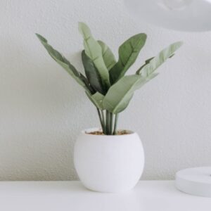 Indoor Cache Pots (No Hole or Plug Included)