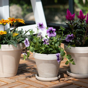 Standard Pot - Granite