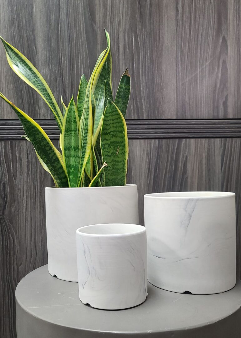 Essential Cylinder - Set of 3 - Image 3