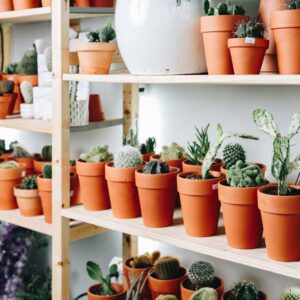 Extra Tall Standard (Rose Pot) - Terracotta