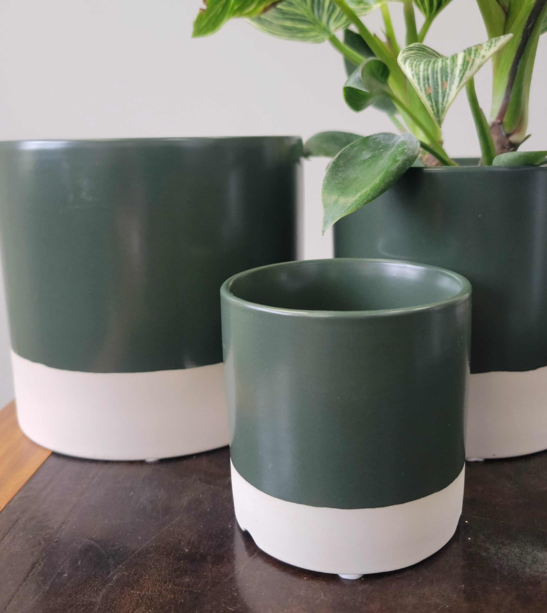 Essential Cylinder - Set of 3 - Image 14