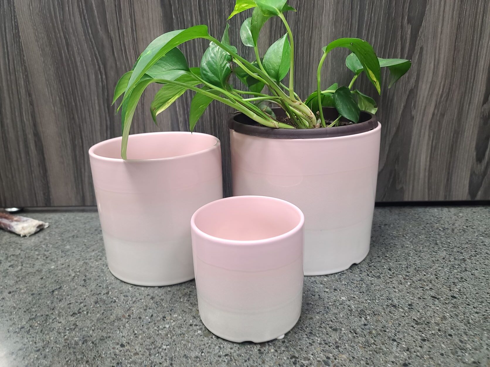 Essential Cylinder - Set of 3 - Image 7