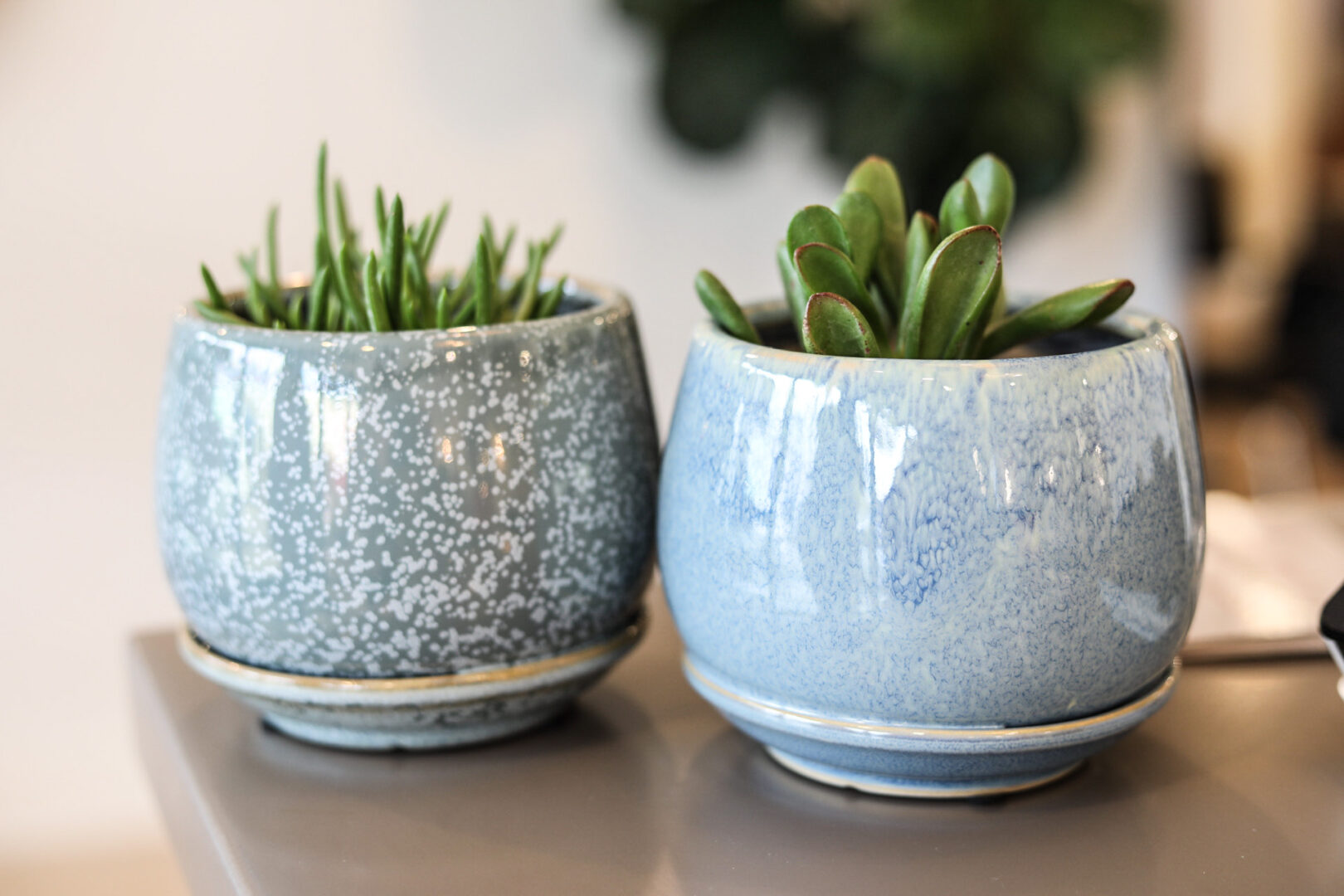 Guemes Planter w/ Attached Saucer - Image 10