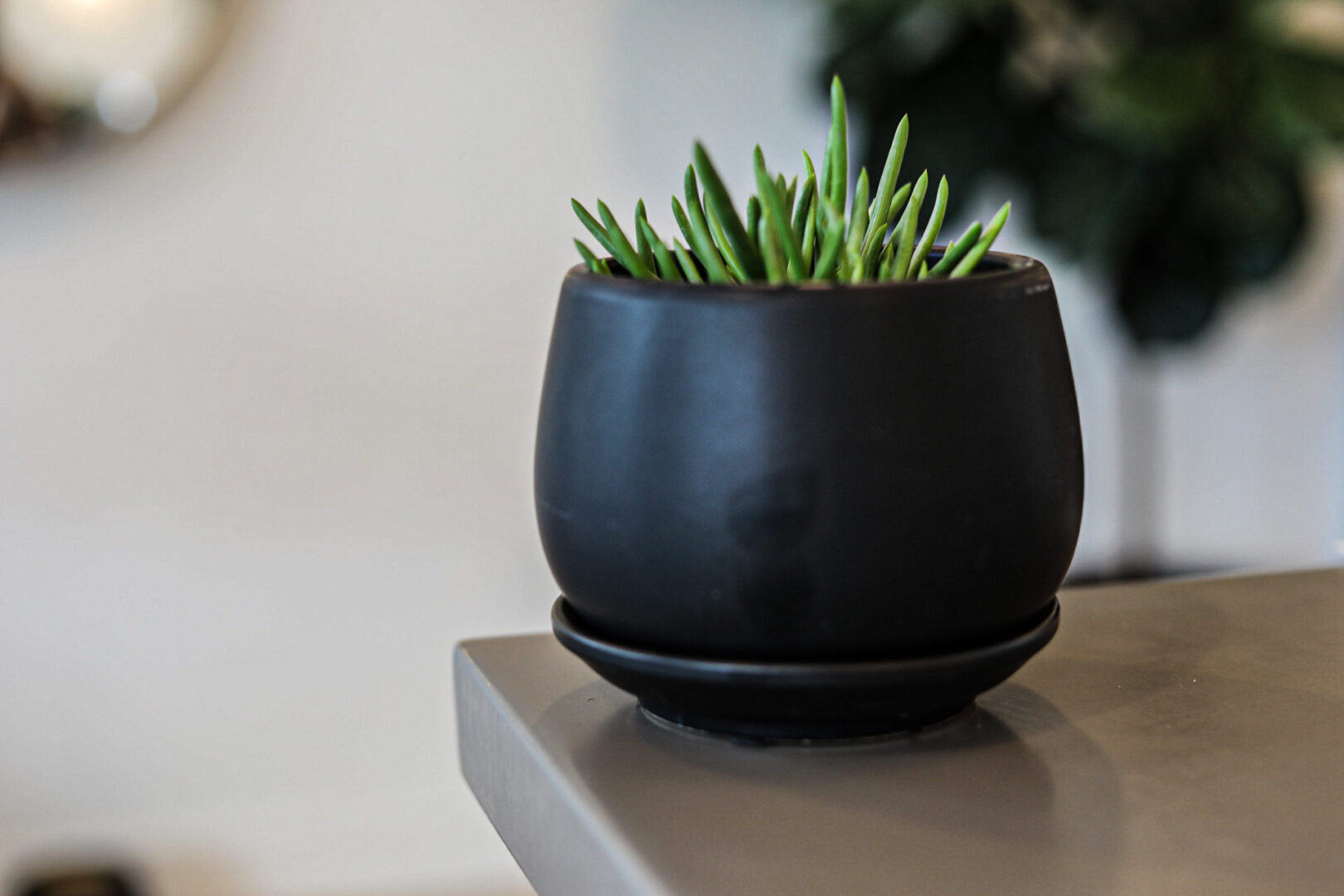 Guemes Planter w/ Attached Saucer - Image 8