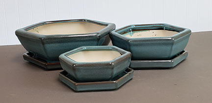 Garden Glazed Short Hex Bonsai with Saucer - Set of 3 - Image 8