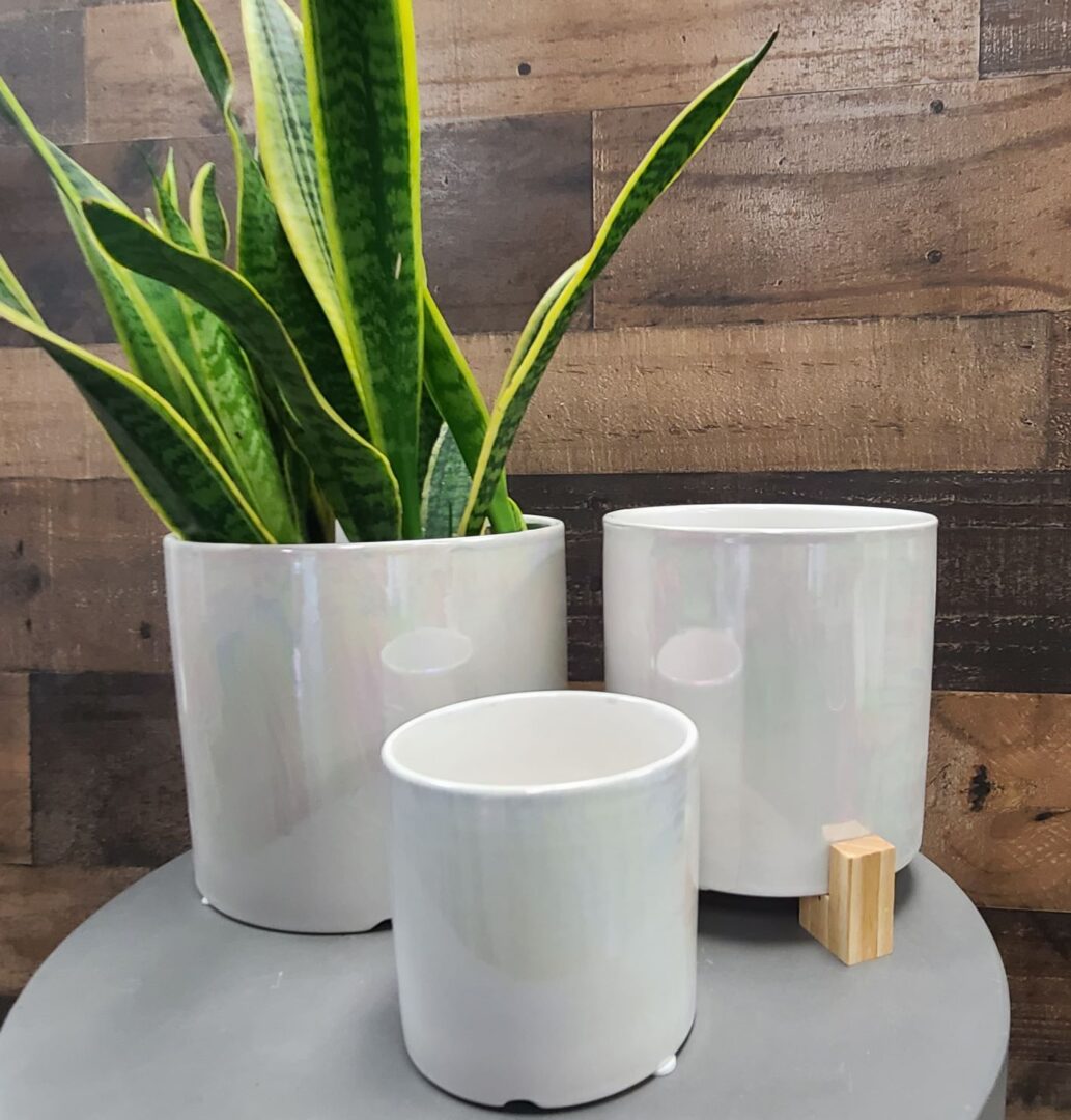 Essential Cylinder - Set of 3 - Image 11