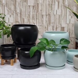 Riley Round with Saucer