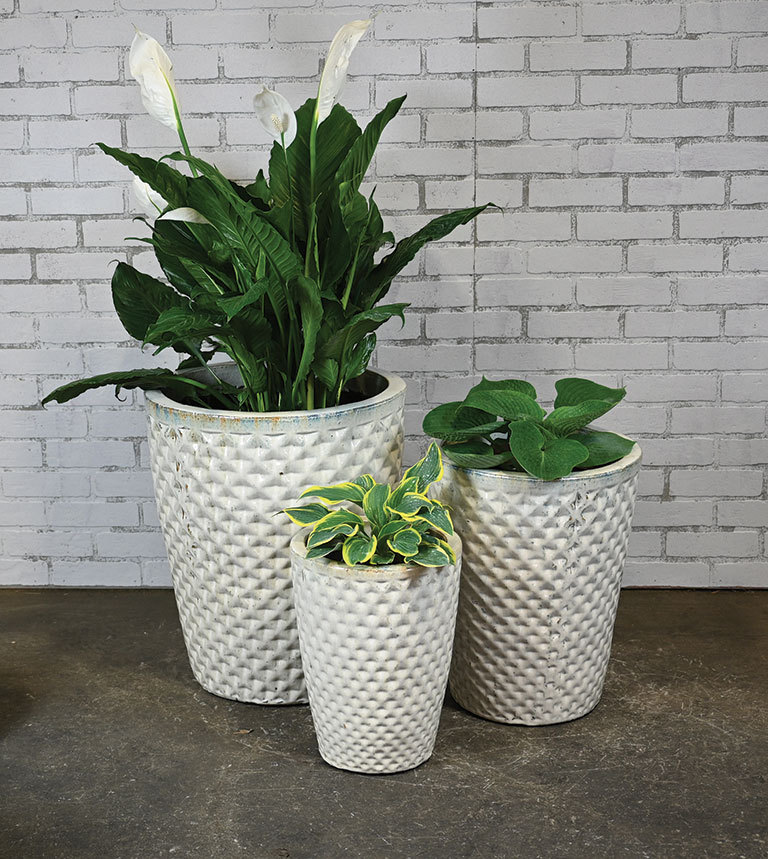 Acadia Planter - Image 2