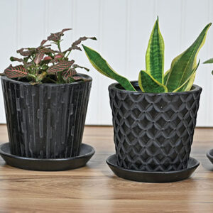 Texture w/ Saucer - Black - 5.5" - 8 Pack