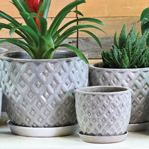 Paragon Pot w/ Attached Saucer - Set of 3