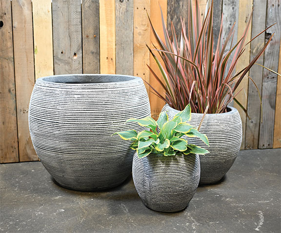 Nisqually Round Pot - Set of 3