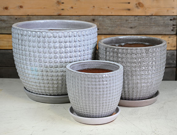 Polka Pot w/ Attached Saucer - Set of 3 - Image 2