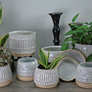 Saloma Planter w/Saucer - 4 Pack