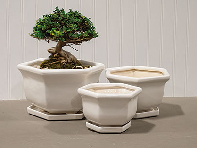 Garden Glazed Hex Bonsai w/Saucer - Set of 3 - Image 6
