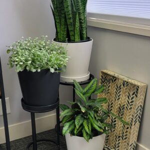 11" Tabitha Taper w/ Saucer