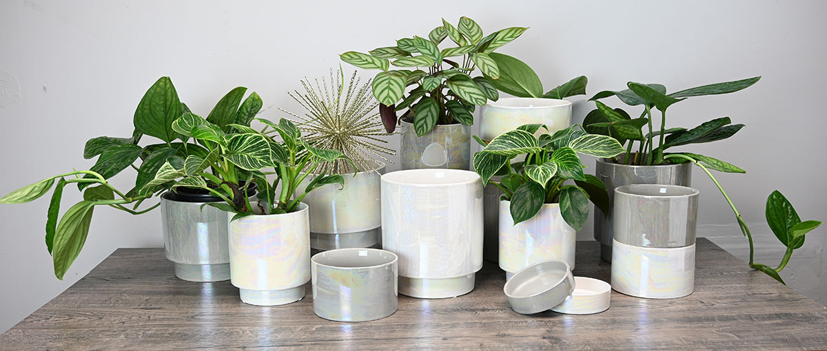 Pearl Glazed Mesa Planters - 4 Pack