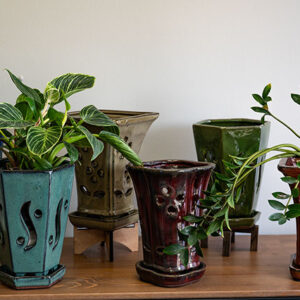 Tall Orchid Pot with Attached Saucer - 6 Pack - 5"