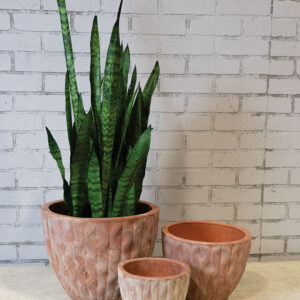 Alonzo Planter - Set of 3