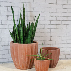 Sergio Planter - Set of 3