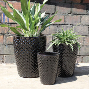 Acadia Planter