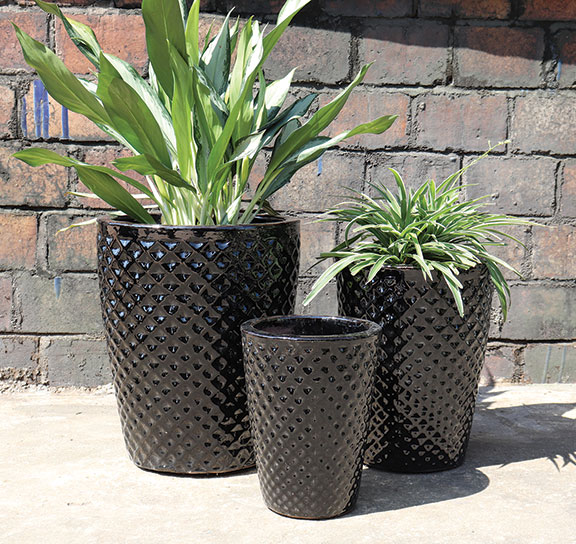 Acadia Planter