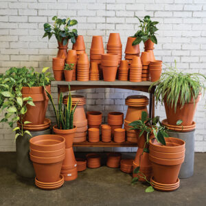Terracotta Assortment - Natural