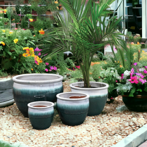 Marina Rimmed Round - Set of 4