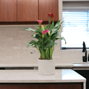 Pillar Pot - Granite