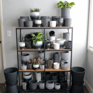 Indoor Assortment IA2R - 15% OFF