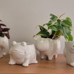 White Animals - 5" - 24 Pack