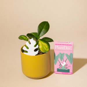 Biodegradable Moisture Meters