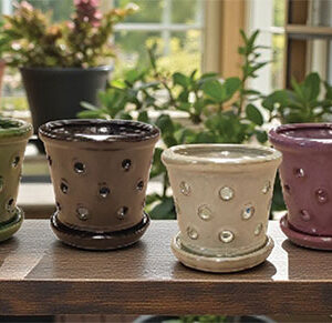 5" Glazed Ring Orchid Pot w/ Att Saucer - 8 Pack